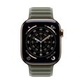 Apple Watch 42mm Sage Gray Magnetic Link - M/L